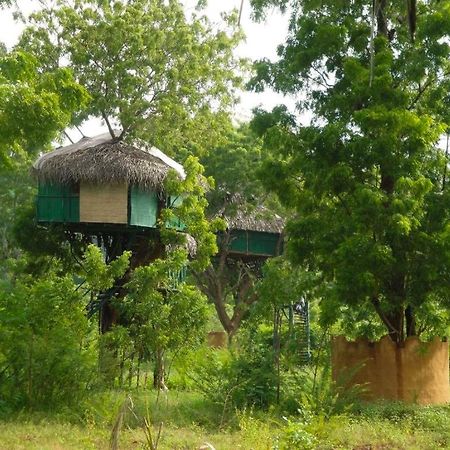 Yala Beddegama Eco Hotel Kataragama Exterior photo