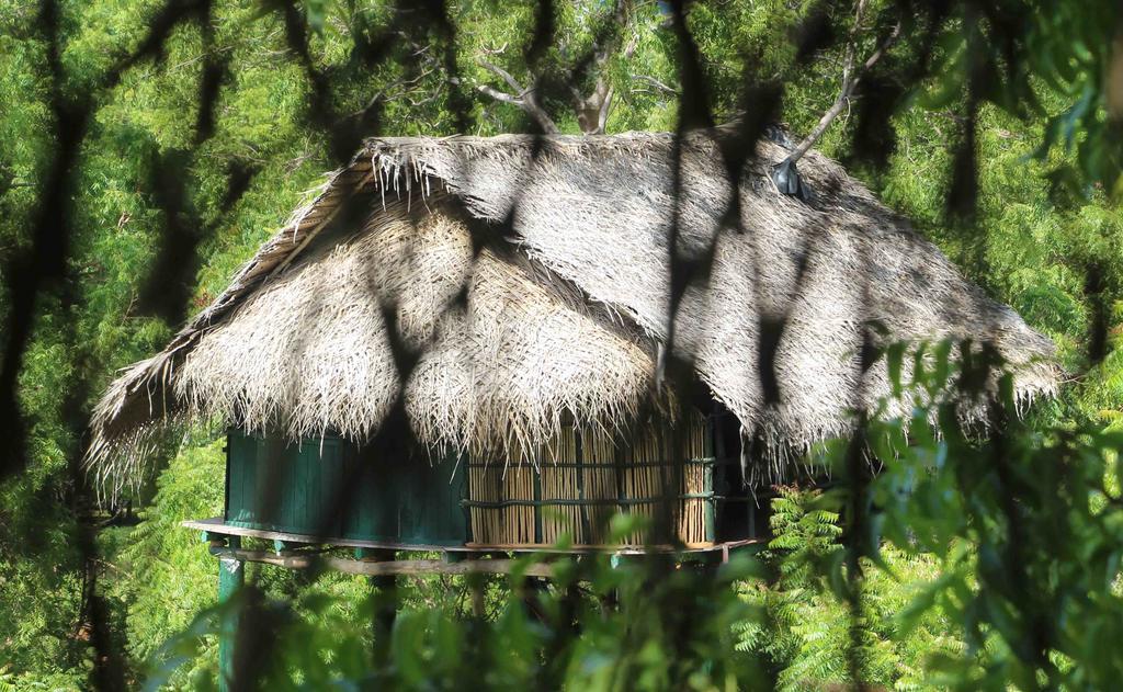 Yala Beddegama Eco Hotel Kataragama Exterior photo