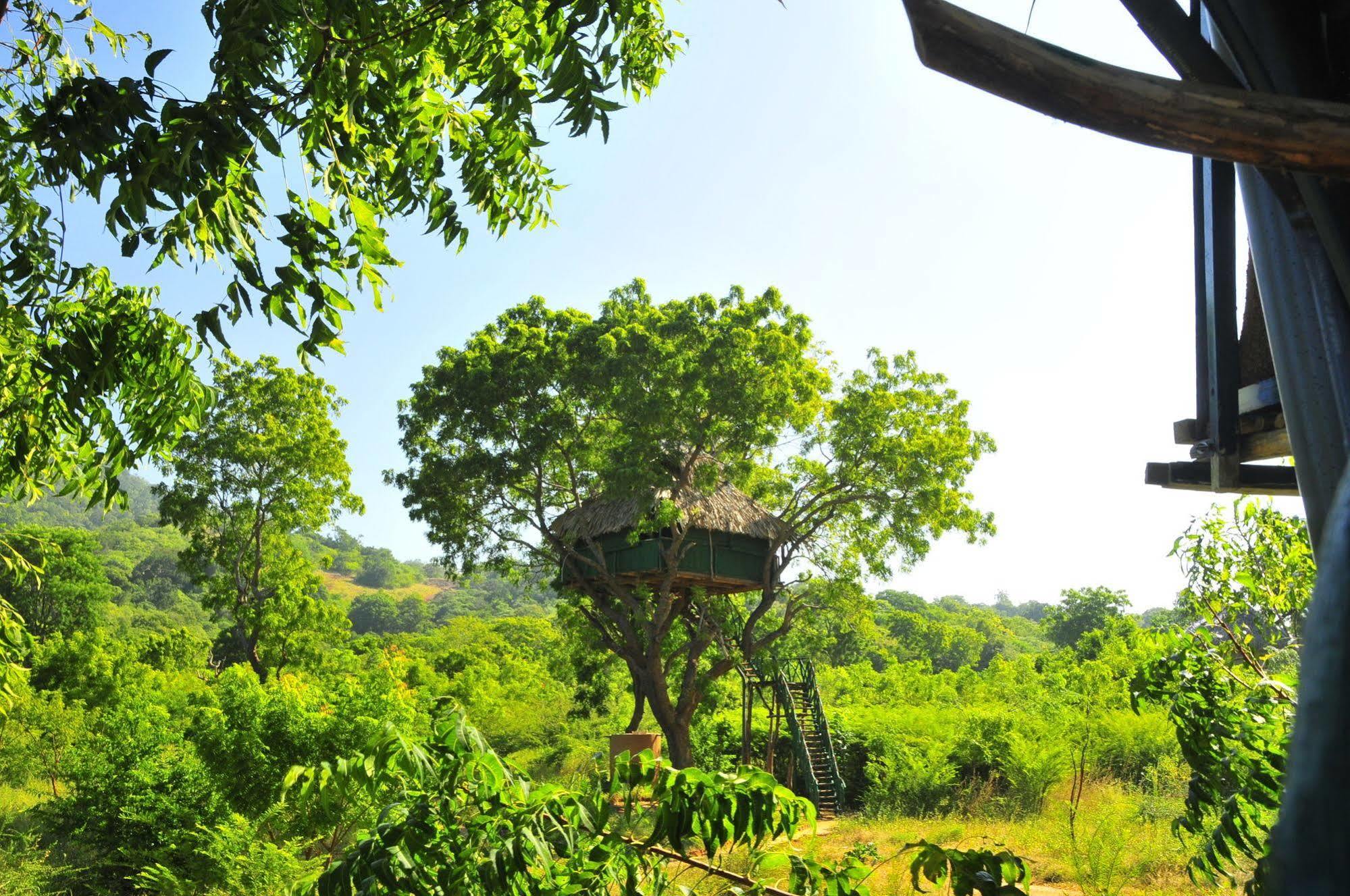 Yala Beddegama Eco Hotel Kataragama Exterior photo